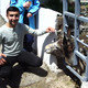 vardan, 41