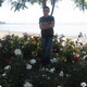 Murat, 44