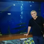 Nazim, 54 (3 ����, 0 �����)