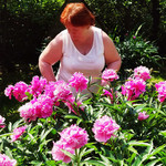 ��������, 51