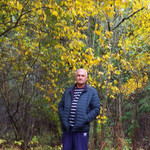 SAV., 61