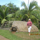 Maiya, 68