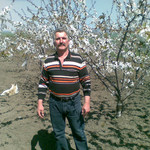Vadim, 67 (4 ����, 0 �����)