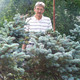Modris, 71