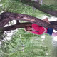Olga, 58