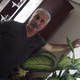 hakan, 61