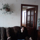 H� ����, 39