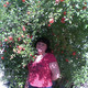 Alentija, 65