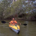 Curryinahurry, 53