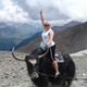 ����������, 48