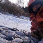 aleksandr, 37