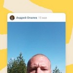 ������ ������, 38 (1 ����, 0 �����)