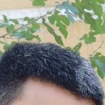 Axror, 34 (1 ����, 0 �����)