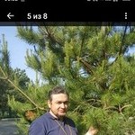 ������, 57 (1 ����, 0 �����)