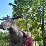 �������, 60