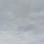 c�����, 42