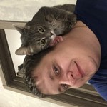 ������, 42
