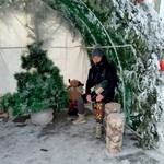 ������, 50 (1 ����, 0 �����)