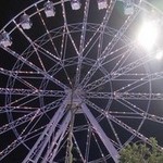 ��������� ���������, 18 (1 ����, 0 �����)