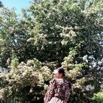 ������, 36